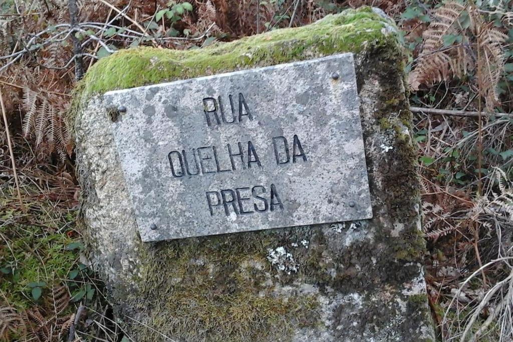 Espinho  Casa Quelha Da Presa 빌라 외부 사진